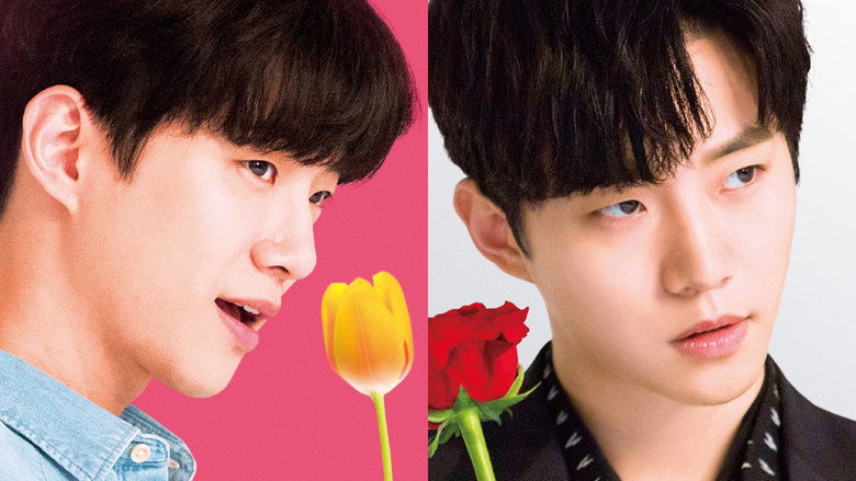 A Rose and A Tulip