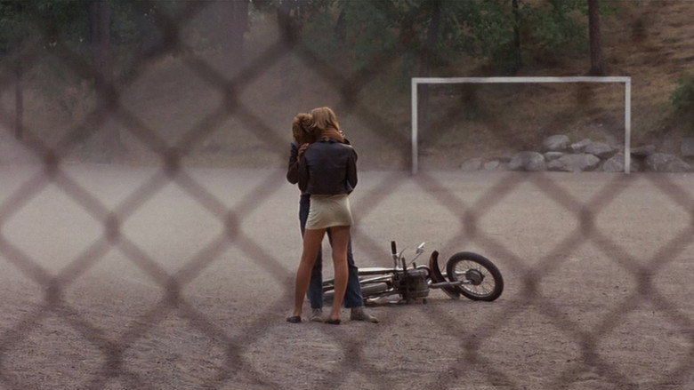 A Swedish Love Story