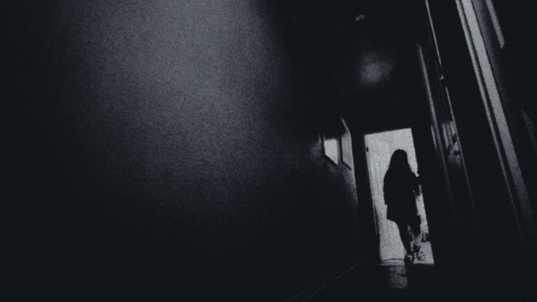 A Visitor in the Night
