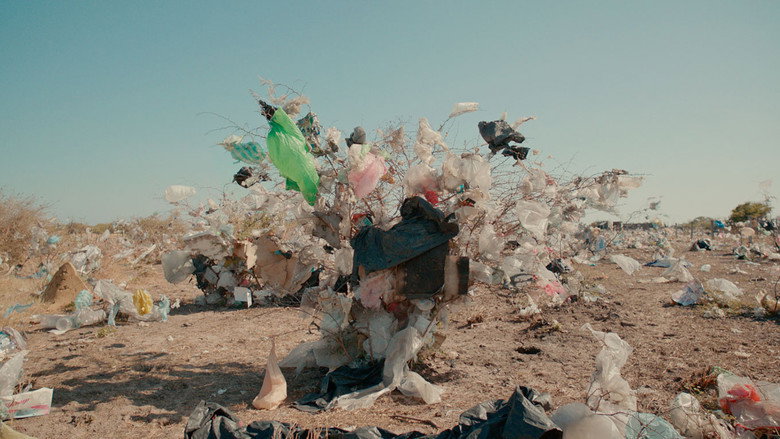 Aftermath