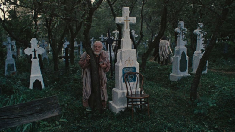 Among Grey Stones
