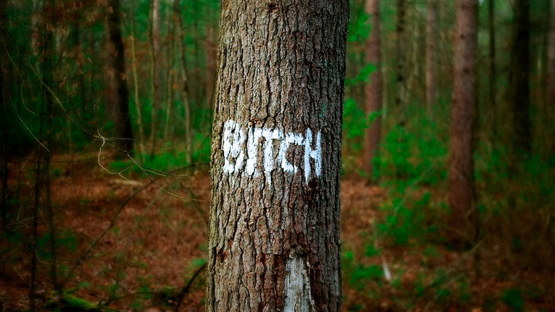 Backlash: Misogyny in the Digital Age