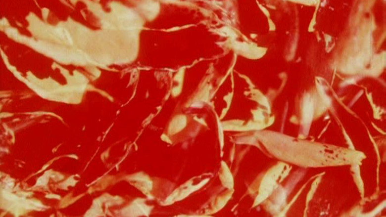 Bark-Rind