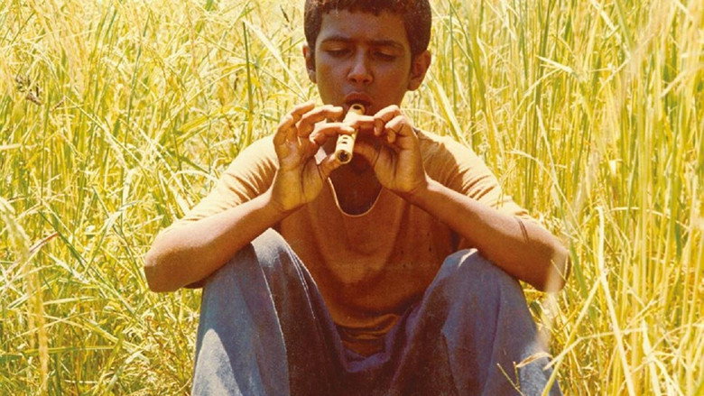 Bashu, the Little Stranger