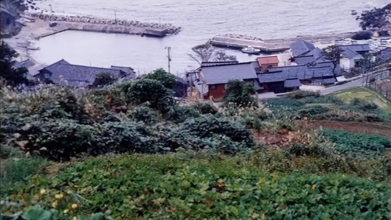 Birthplace