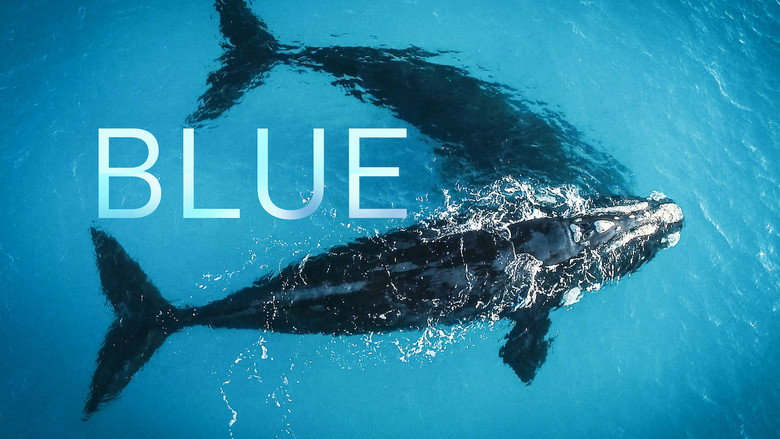 Le Blues des océans