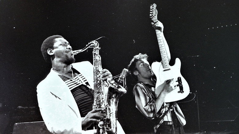 Bruce Springsteen & the E Street Band Houston '78 Bootleg: House Cut
