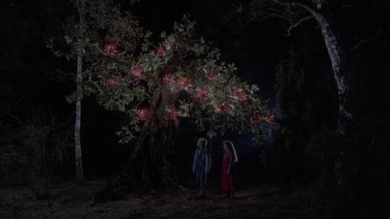 Bye Bye, Red Riding Hood
