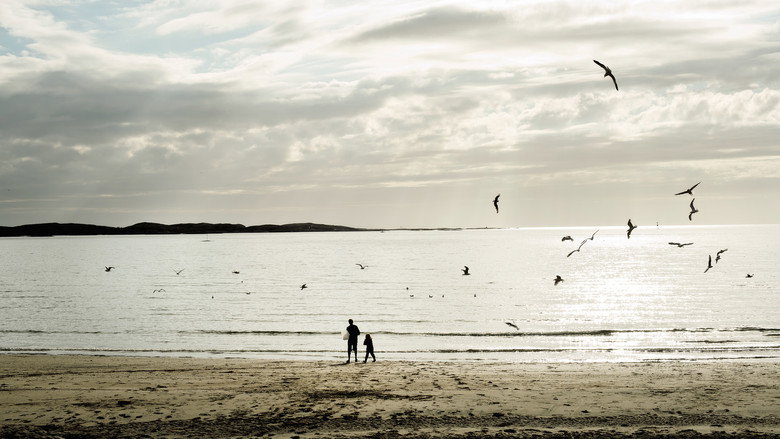 Chasing the Wind