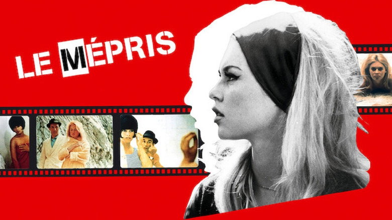 Contempt