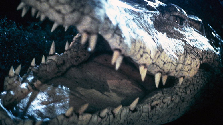 Crocodile