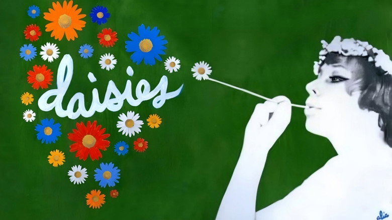 Les Petites Marguerites