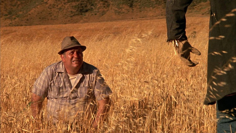 Dark Night of the Scarecrow