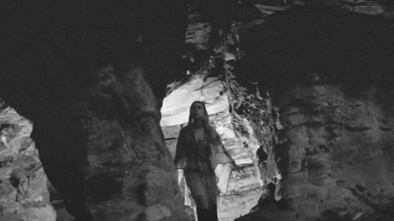 Der Wanderer der Nacht