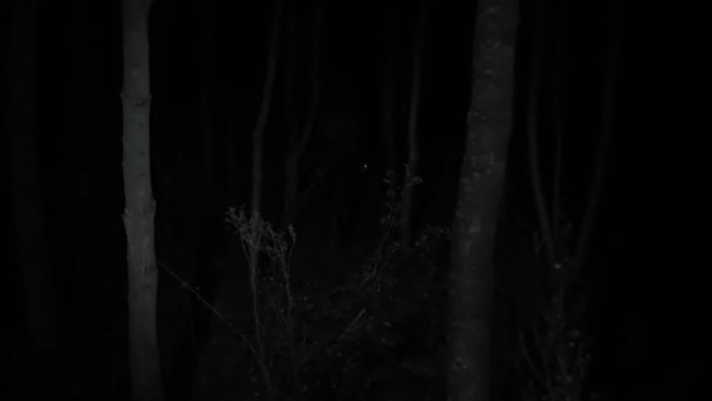 Despite the Night