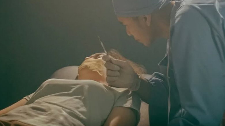 Devil in the Womb 2: Deception