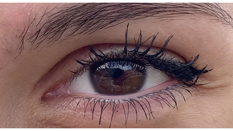 Eye of the Creator
