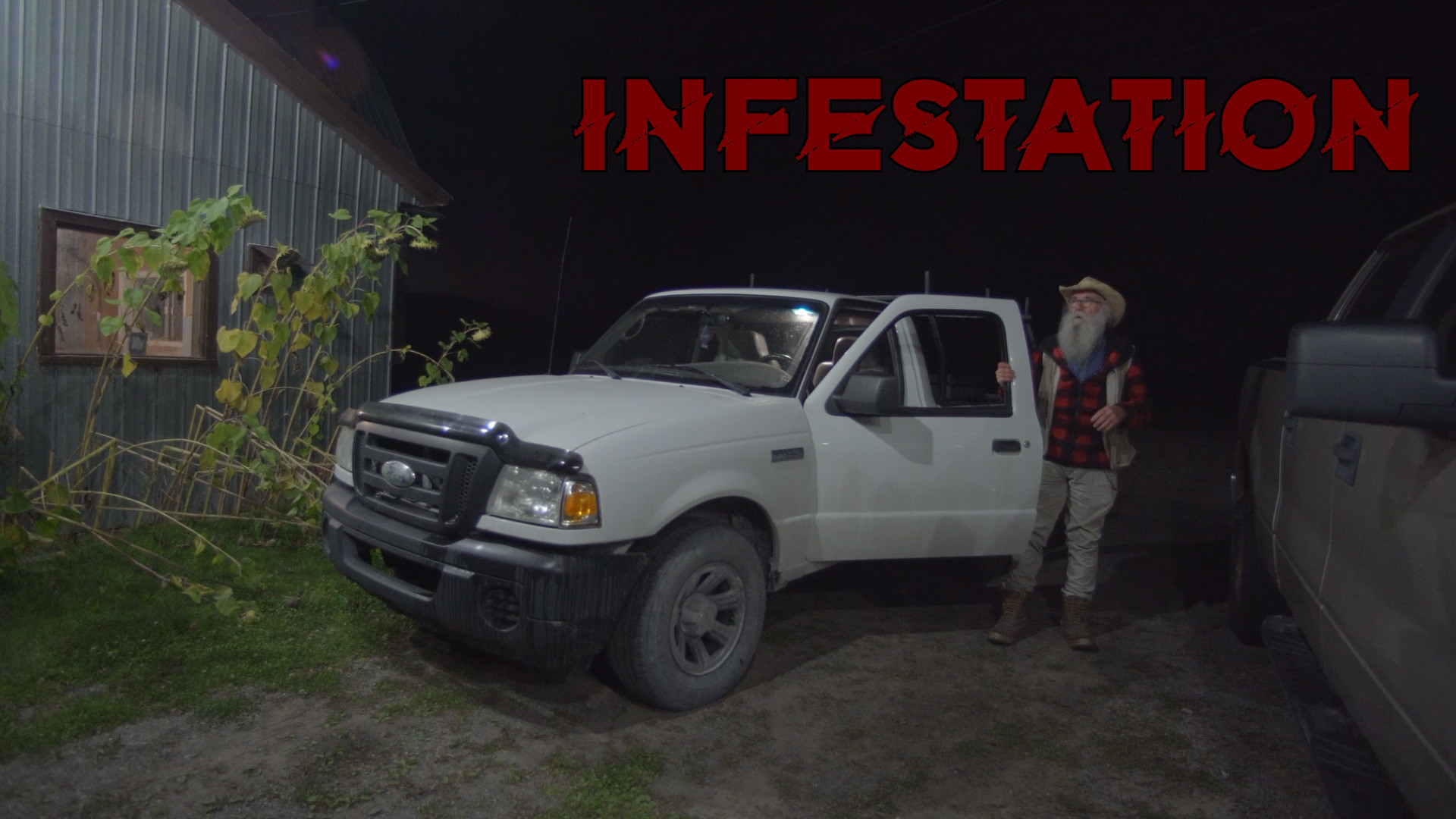 Infestation