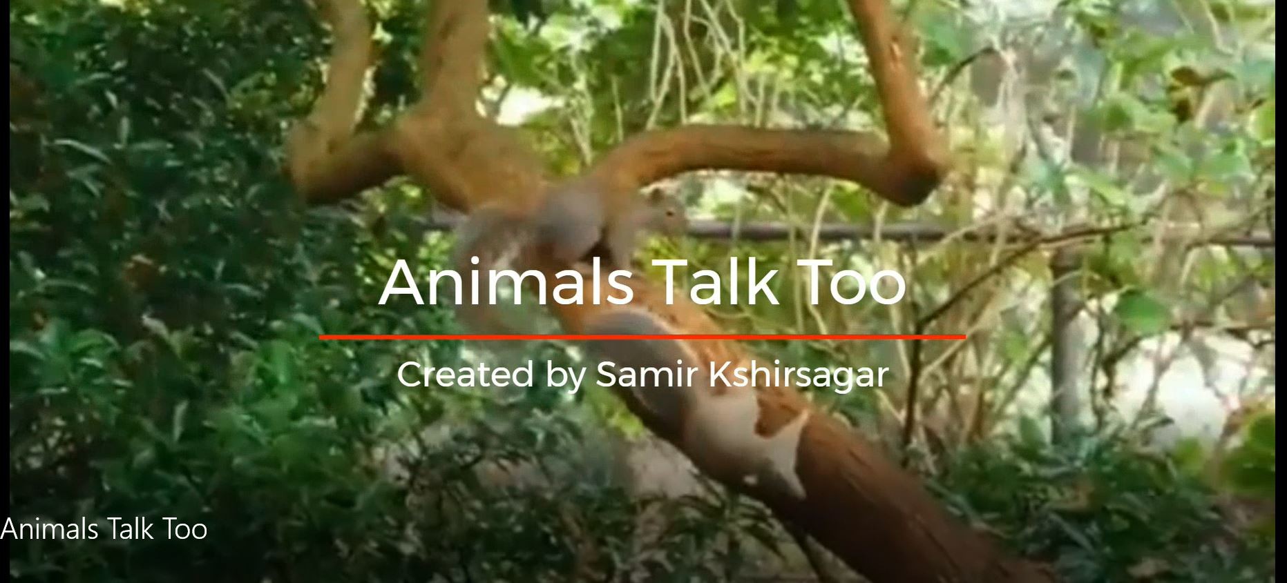 Animals Talk Too