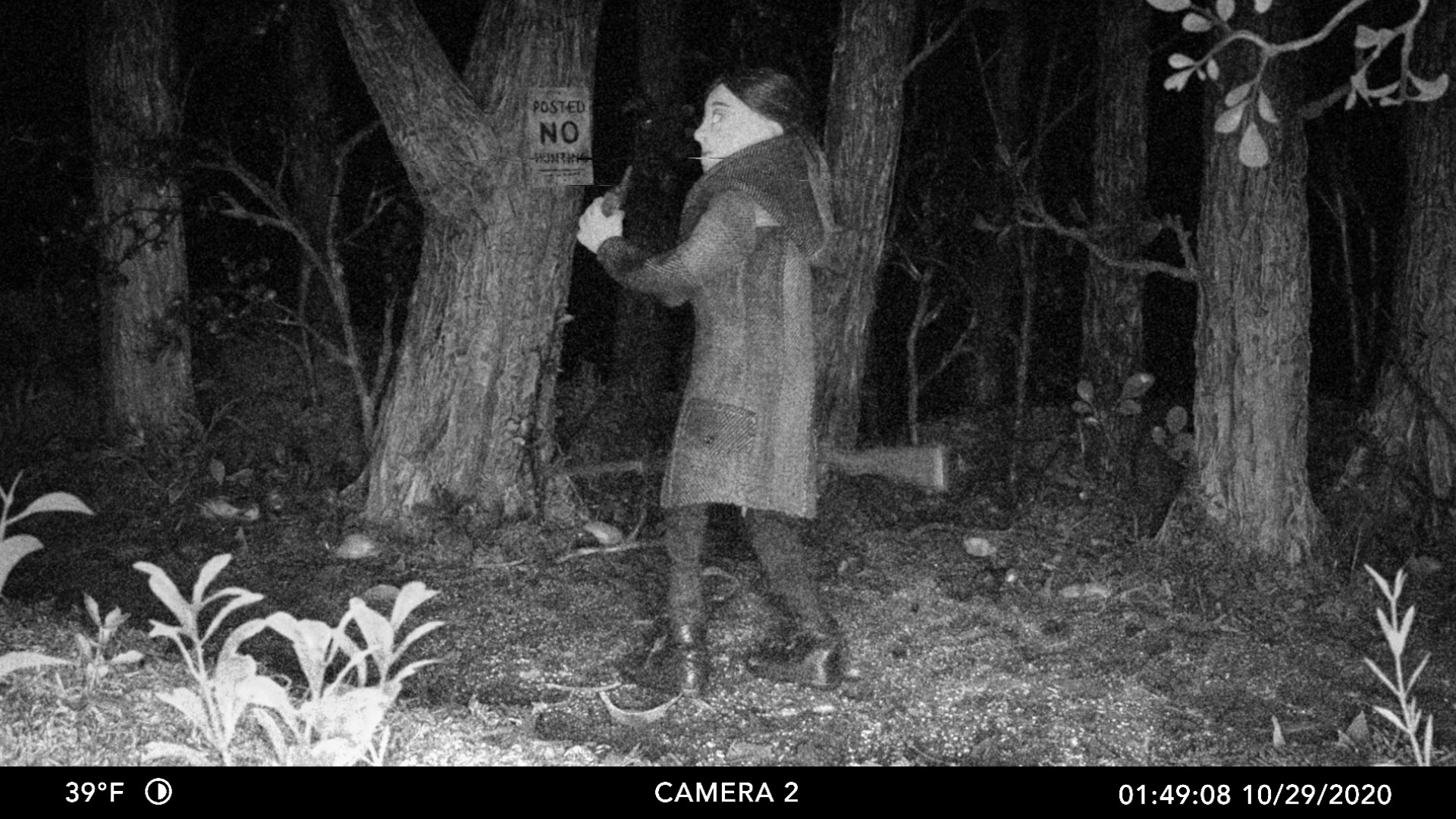 Posted No Hunting