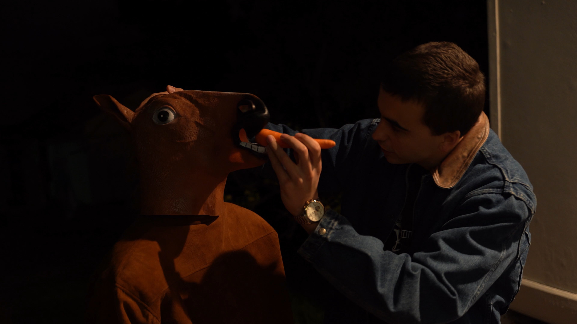 Horse In The House