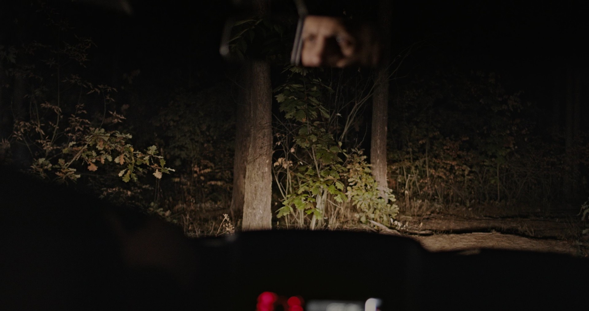 Girl in the Dark