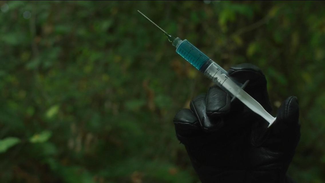The Procedure 2