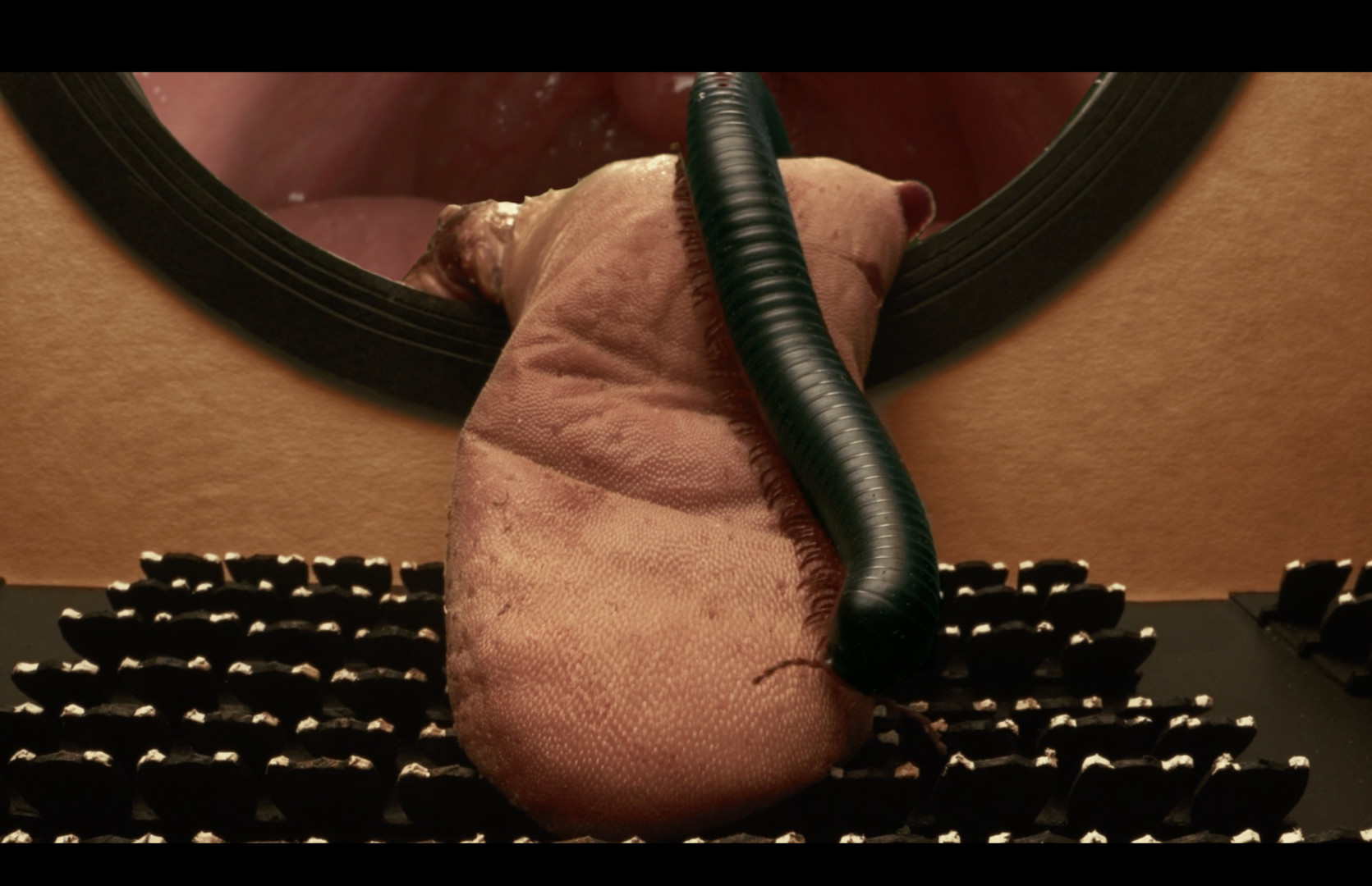 Kiesler's Body