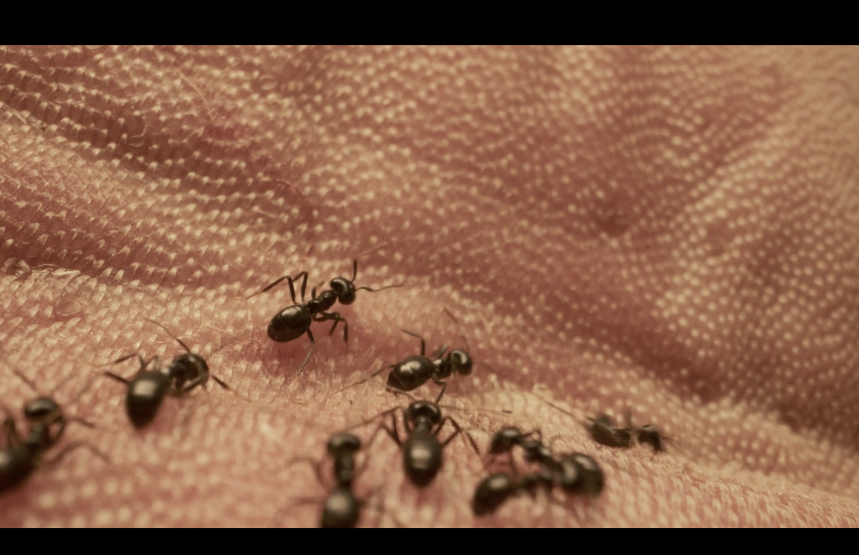 Kiesler's Body