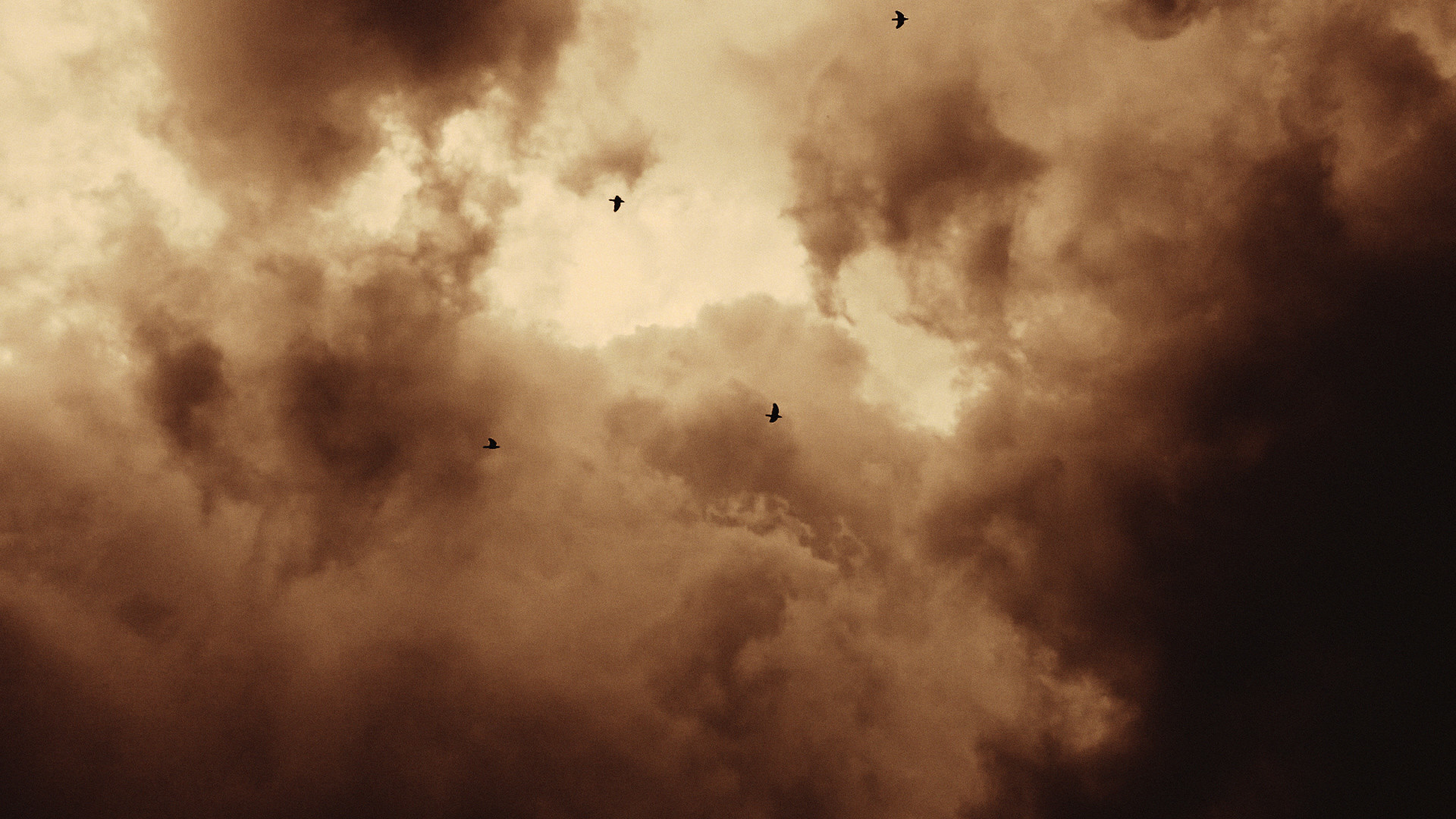 Hollow Me Out