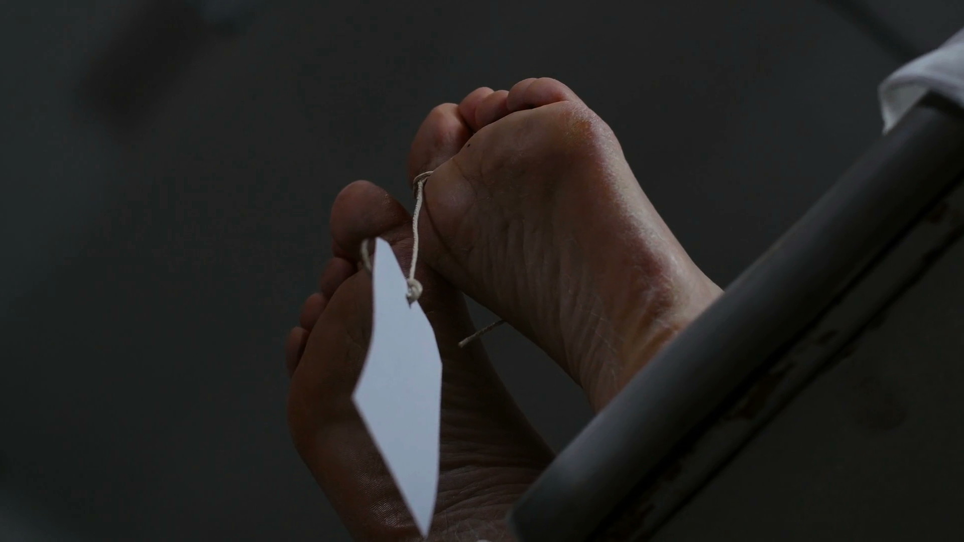 A Scratch for Every Itch