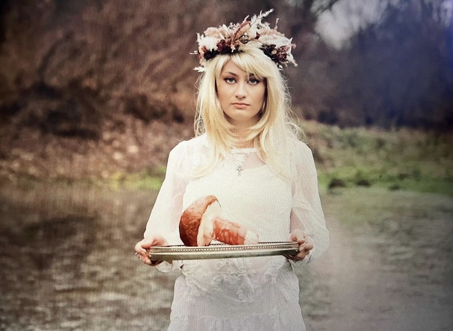 AMANITA MUSCARIA