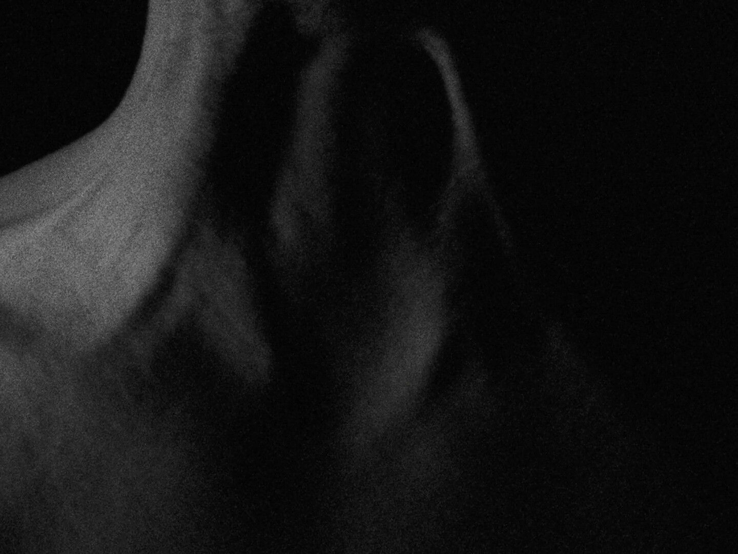The Atrophy to Entropy EP