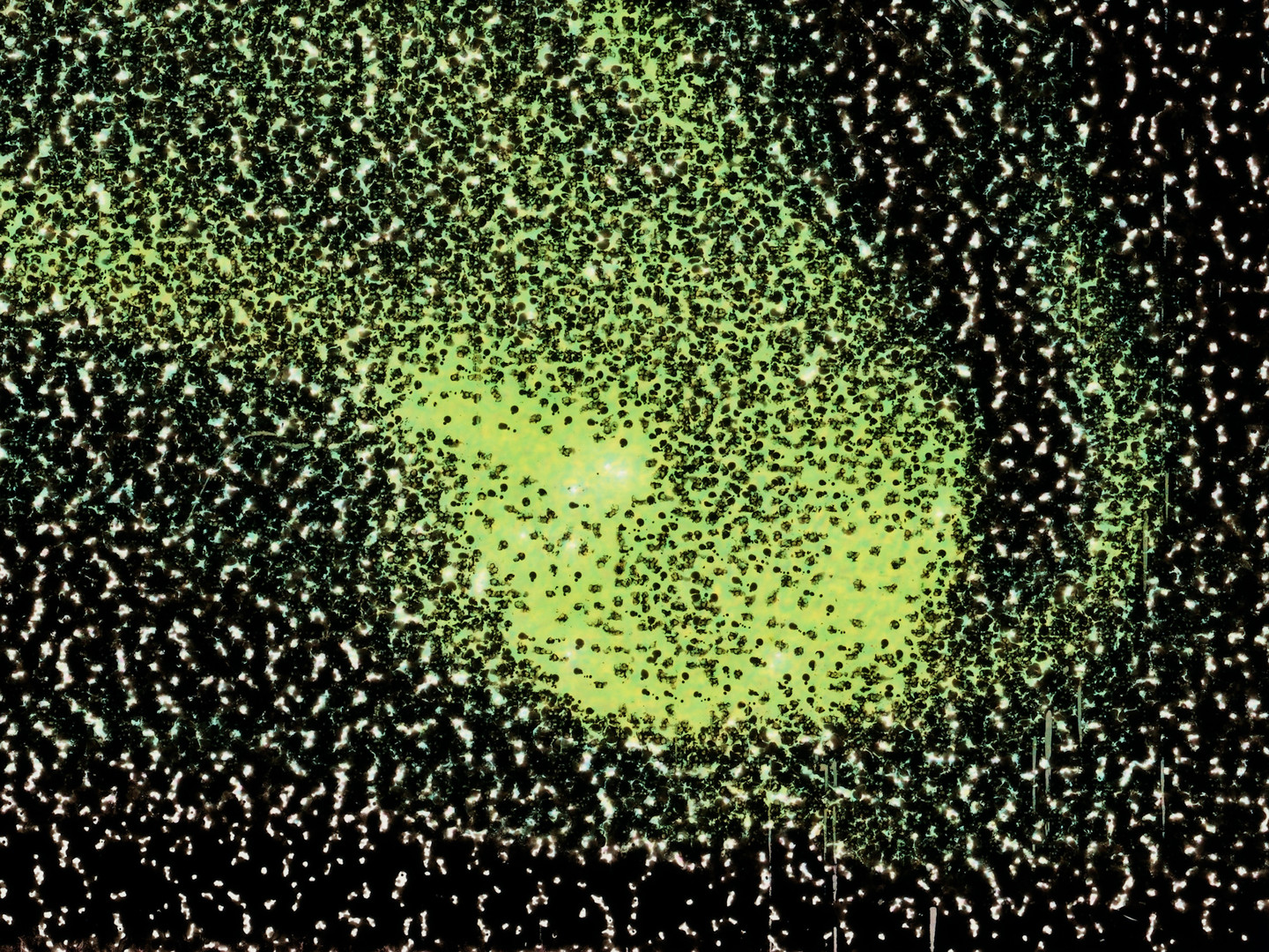 Solar Storm