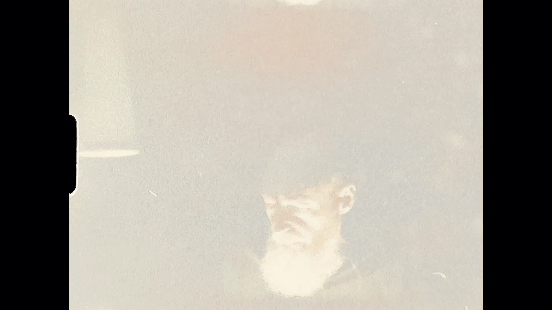 Divination
