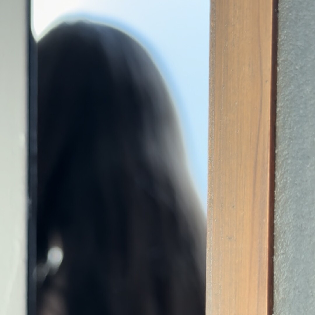 BEHIND THE DOOR