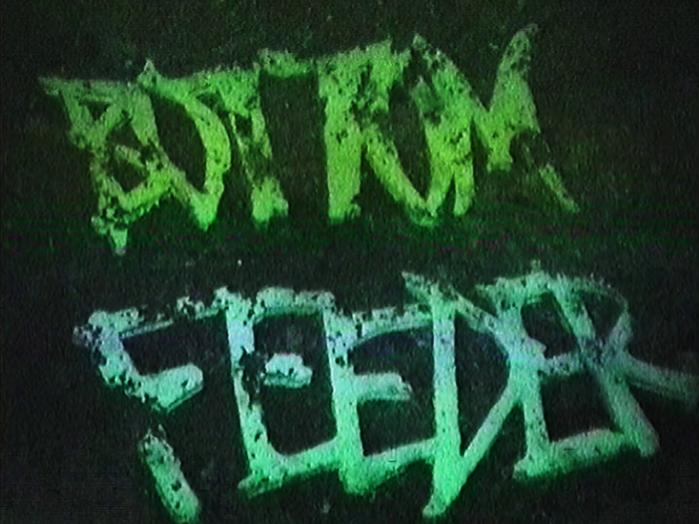 Bottom Feeder