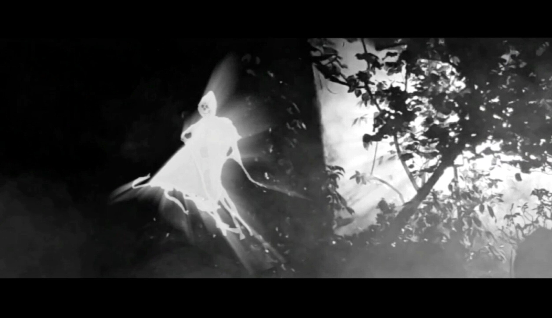 The Ghost And His Unfortunate But Phenomenal Tale