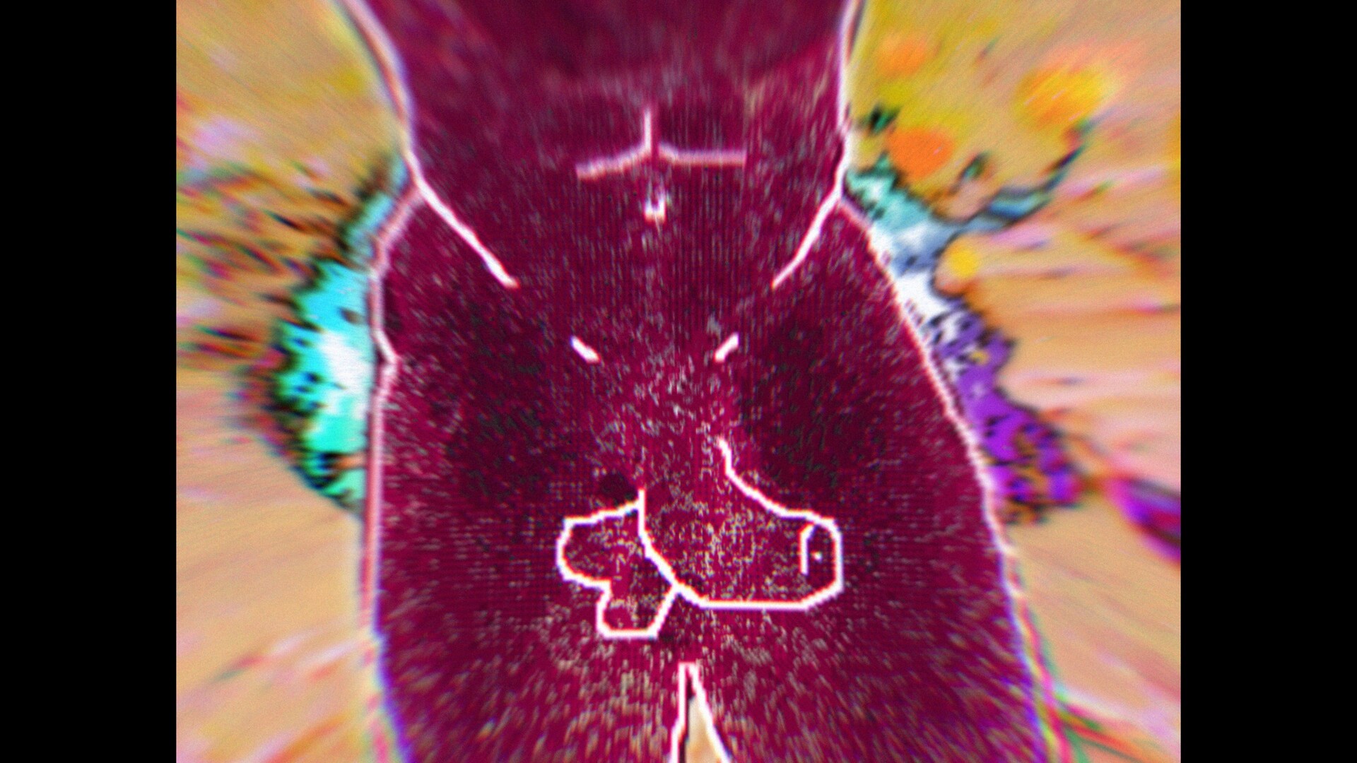 NOHOMO
