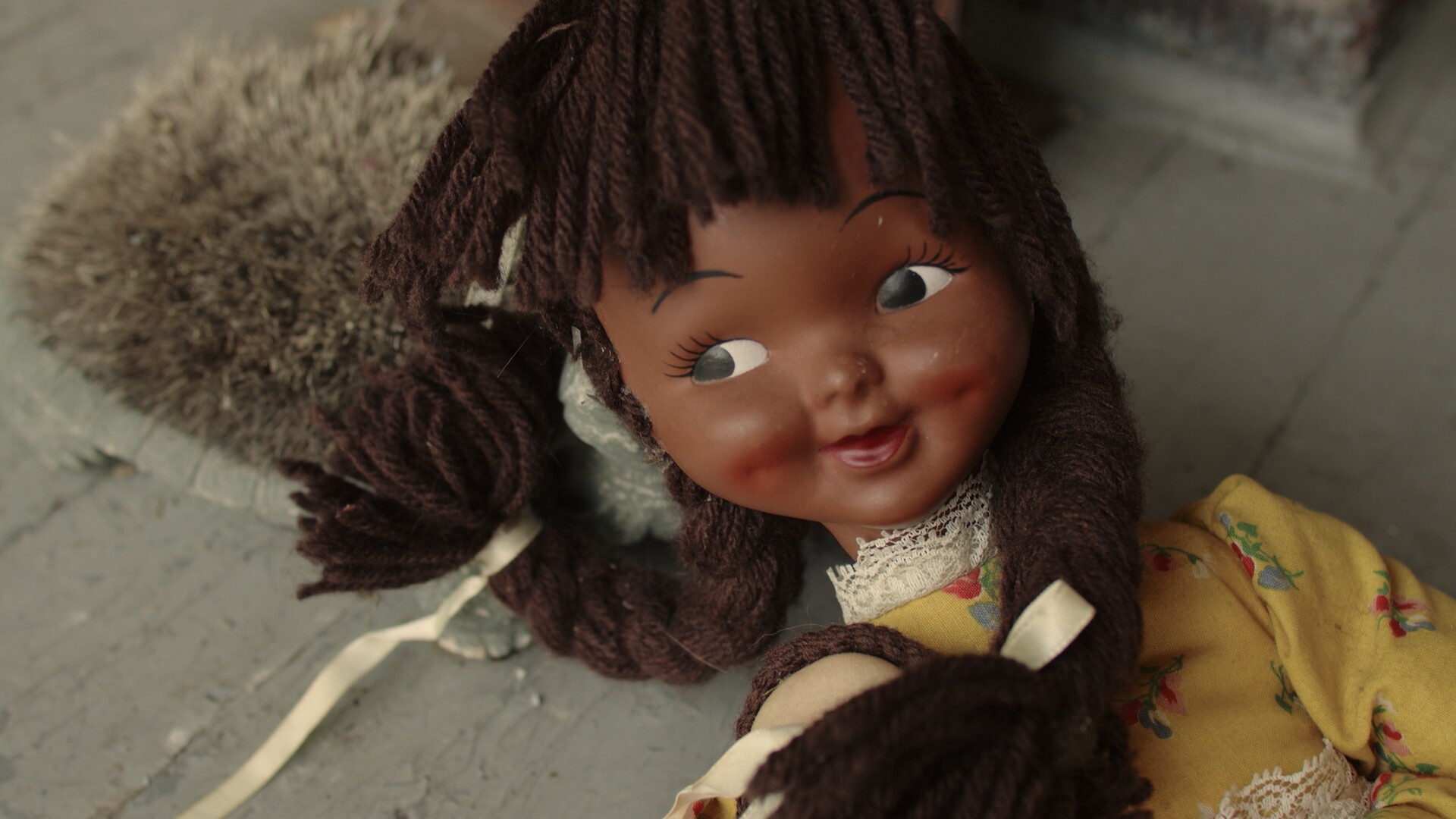DOLLY