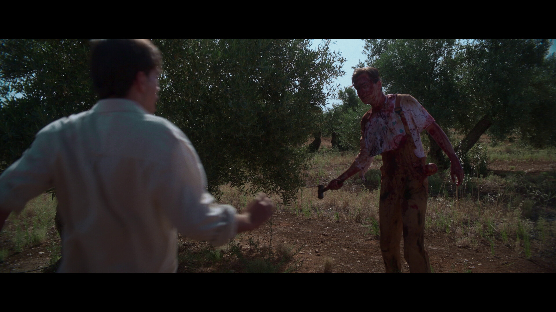 Bloody Olives