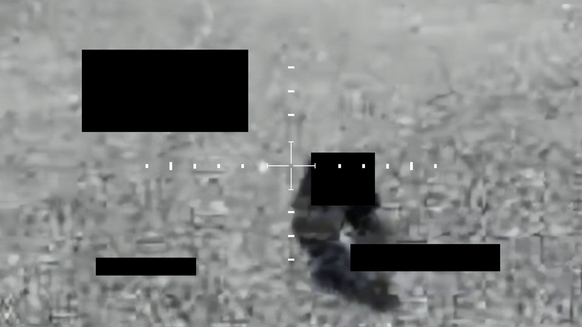Top Secret Pigeon