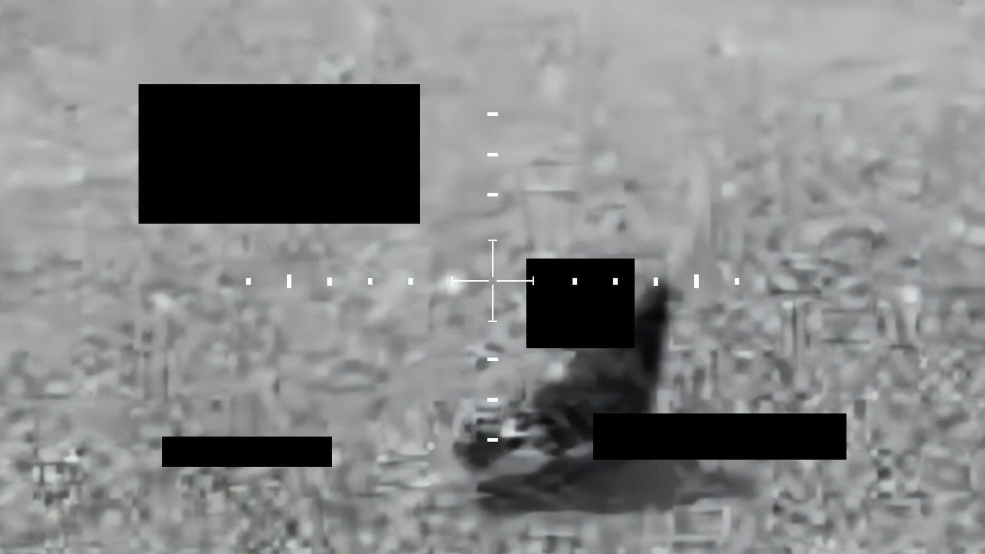 Top Secret Pigeon