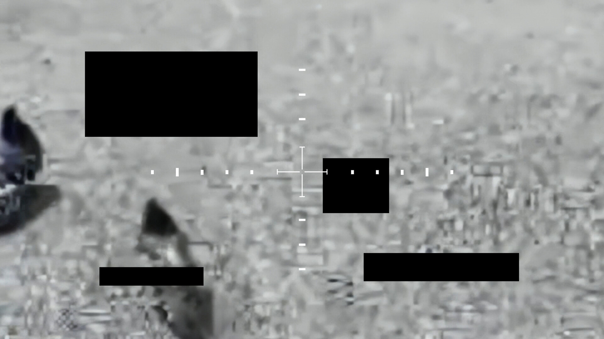 Top Secret Pigeon