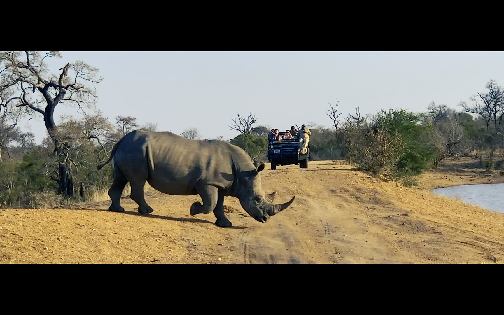 Poacher Poacher