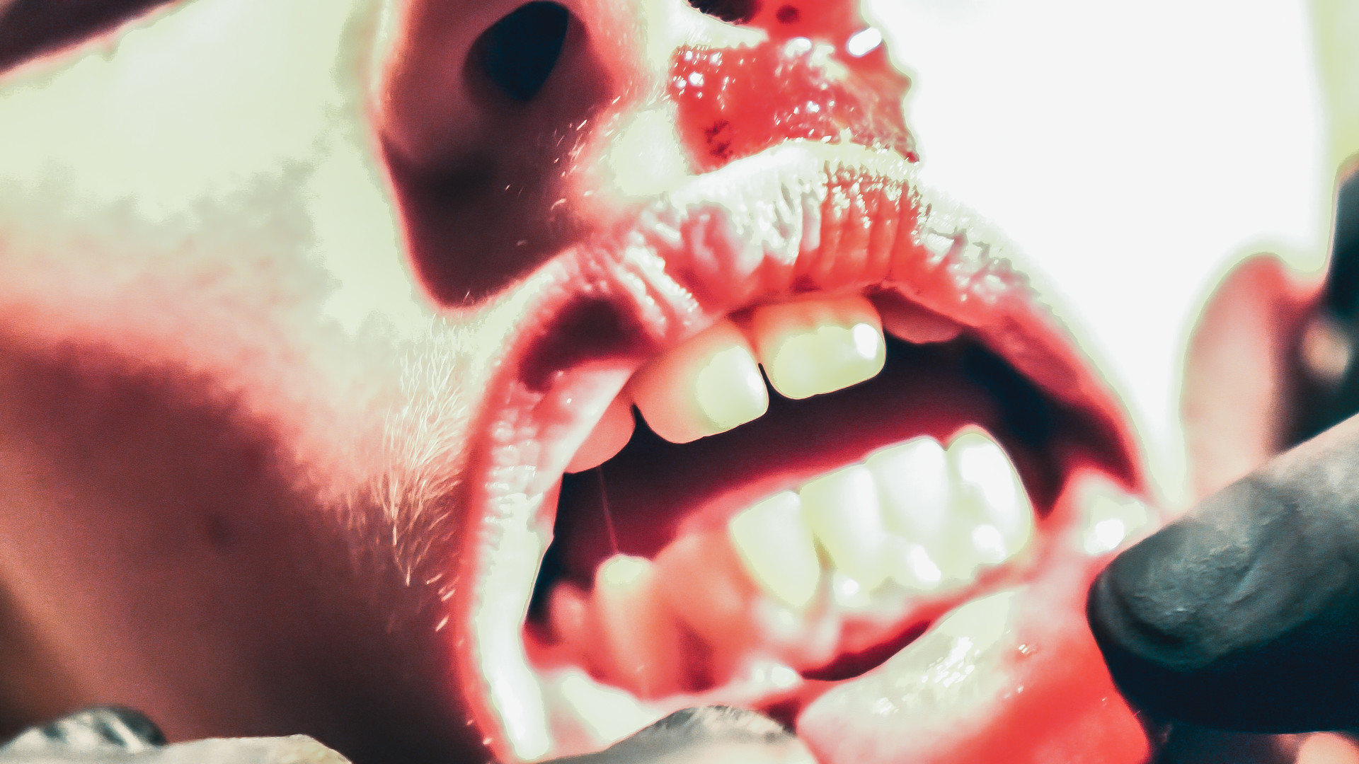 toothfairy trailer