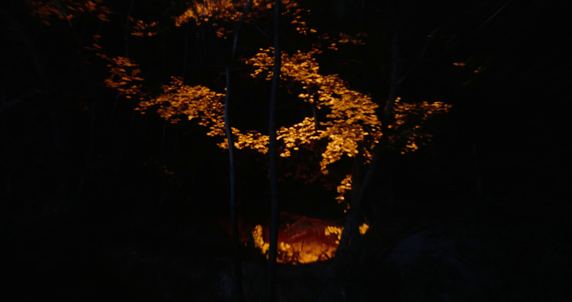 Seance