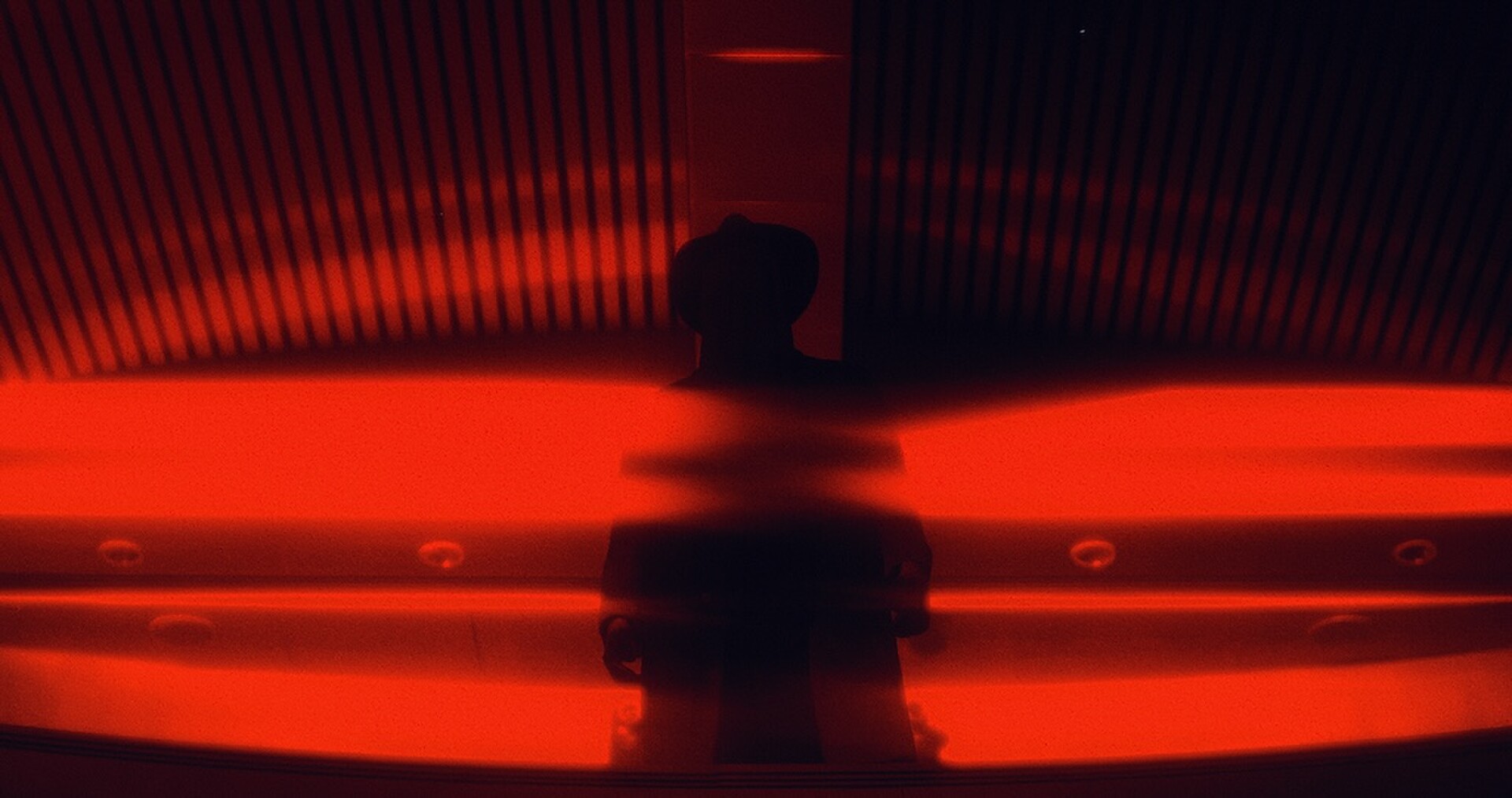 D.I.T.