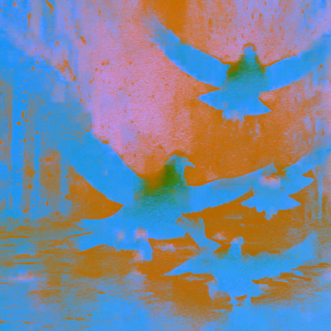 Do Not Feed the Pigeons