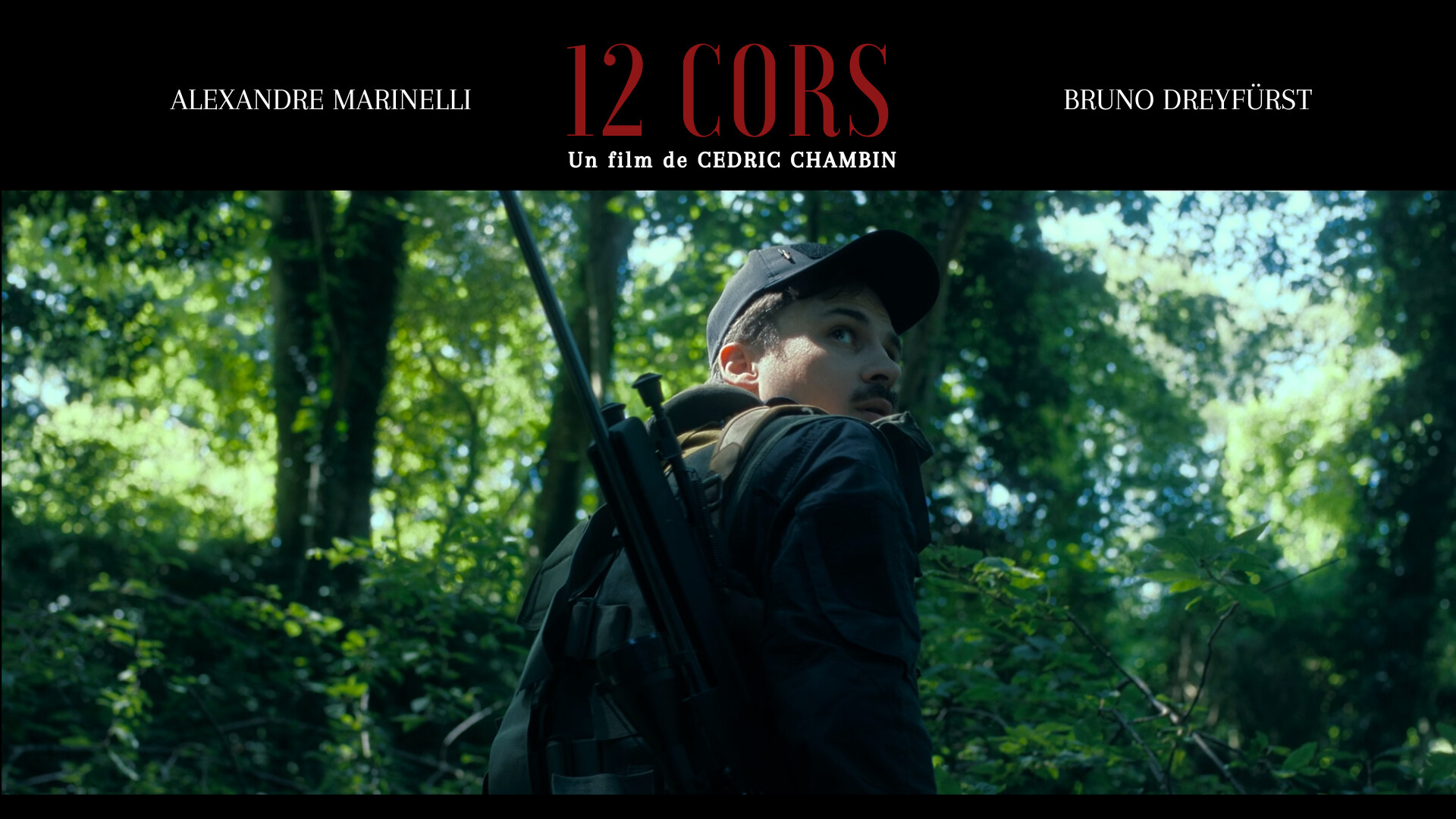 12 Cors